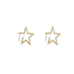 Day&Eve Oorbellen Fine Star Hoop | Goud